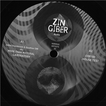 VA - 06 ZINGIBER AUDIO - ZINGIBER AUDIO