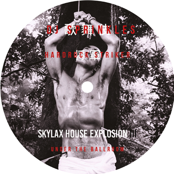 DJ Sprinkles & Hardrock Striker - Under The
Ballroom - Skylax