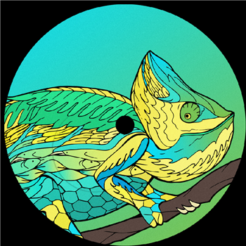 Souldynamic - CHAMELEON EP VOLUME 3 - EXCEDO RECORDS