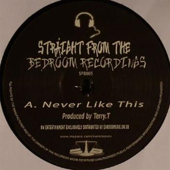 Terry T - Straight From The Bedroom Recordings Terry T - Straight From The Bedroom Recordings