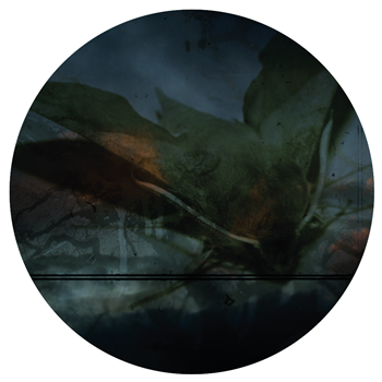 Errorbeauty / T15DM - Arkada Errorbeauty / T15DM - Arkada