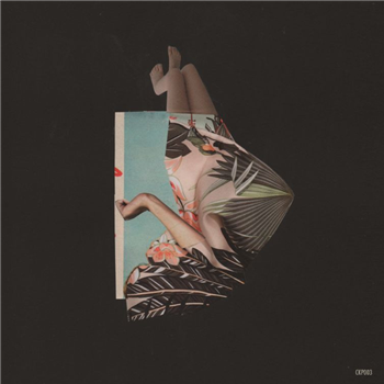 Steevio - Pollinator EP - Clock Poets Steevio - Pollinator EP - Clock Poets