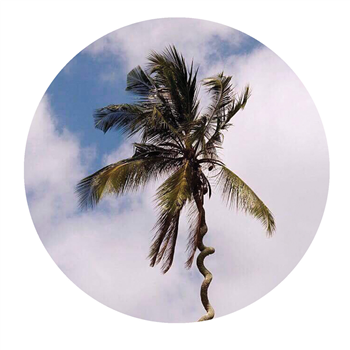 Harrison BDP - Be Like Water EP [pink vinyl] - Lost Palms