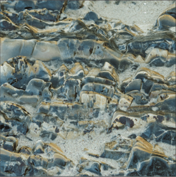 Jake Muir - Lady’s Mantle (Clear Vinyl) - sferic Jake Muir - Lady’s Mantle (Clear Vinyl) - sferic