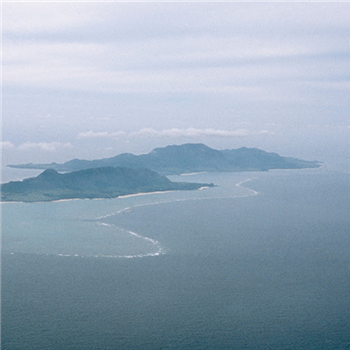 CELER - SHIMA - Gailur CELER - SHIMA - Gailur