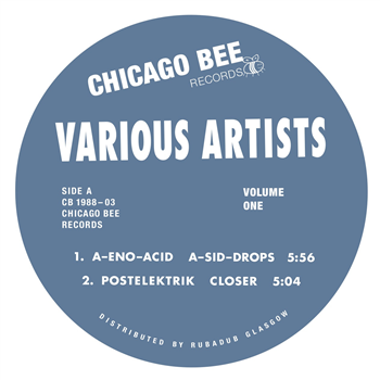 Various Artists - Volume One - Chicago Bee Records