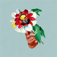 Maribou State - Kingdoms In Colour - Counter Records Maribou State - Kingdoms In Colour - Counter Records