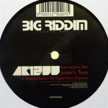 AK1200 - Big Riddim Recordings