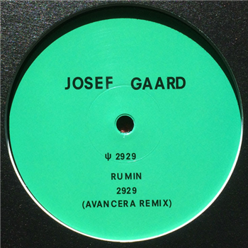 Josef Gaard - 2929 (Incl. Avancera Remix) - Mountain Explosion Device