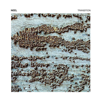 NEEL - TRANSITION - Token NEEL - TRANSITION - Token