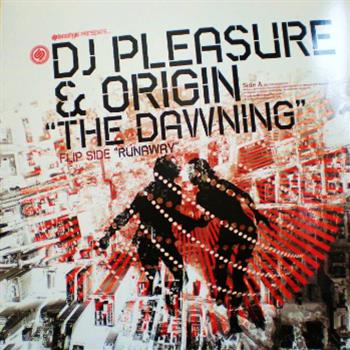 DJ Pleasure - Stereotypez