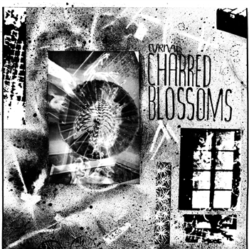 Cyrnai - Charred Blossoms LP - Dark Entries