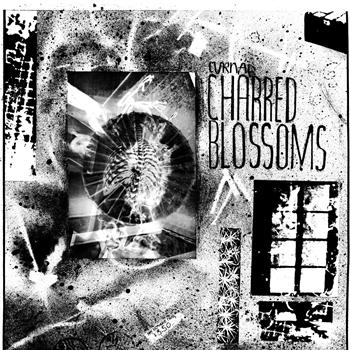 Cyrnai - Charred Blossoms LP - Dark Entries Cyrnai - Charred Blossoms LP - Dark Entries