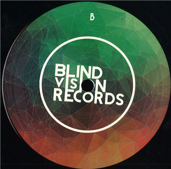 BVR013 - Va - Blind Vision Records