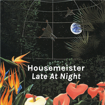 Housemeister - Late at Night - Accidental Jnr