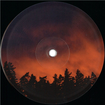 Thomas A.S., Martin Aquino, Luca Doobie, Rico Casazza - Mountains vol 2 - Cervidae Recordings Thomas A.S., Martin Aquino, Luca Doobie, Rico Casazza - Mountains vol 2 - Cervidae Recordings