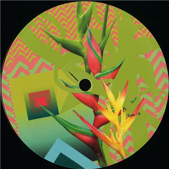 Silat Beksi - Wide Screens EP - Hashplant Silat Beksi - Wide Screens EP - Hashplant