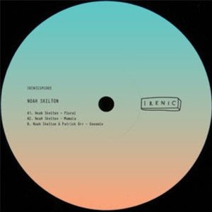 Noah Skelton - IRENIC