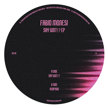 Fabio Monesi - Wilson Records