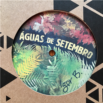 IGOR B - ÁGUAS DE SETEMBRO - Rocksteady Disco