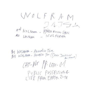Wolfram - Public Possession / Live From Earth Klub