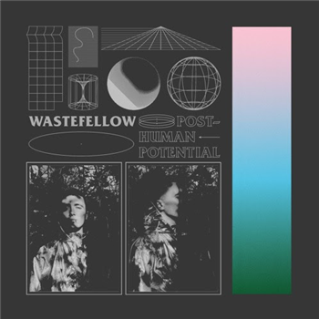 Wastefellow - Post Human Potential - SOFT BOY RECORDS
