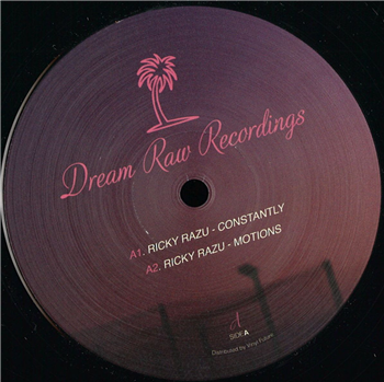 DRR012 - Va - Dream Raw Recordings