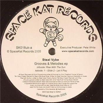 Steal Vybe - GROOVES & MELODIES - Space Kat Records