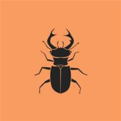 Jaquarius - Flying Deer EP - Zodiak Commune Records