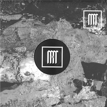 Session Two - Transient X4 - Subjected Systems