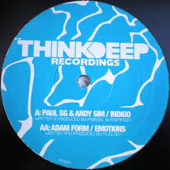 Paul SG & Andy Sim / Adam Form  - Think Deep Records