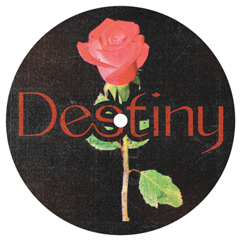 Unknown - Destiny - In The Future Unknown - Destiny - In The Future