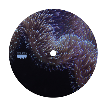 Core James - Extensions Of Life EP - Dusk Notes Core James - Extensions Of Life EP - Dusk Notes
