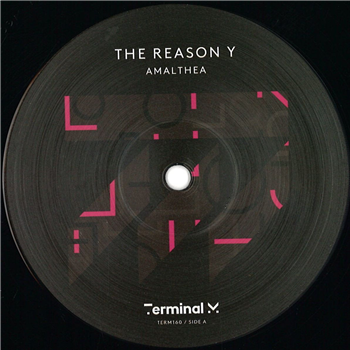 The Reason Y - Amalthea - Terminal M Records