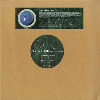 Flora FM - Mycelination - TerraFirm Flora FM - Mycelination - TerraFirm