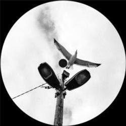 Mike Davis - Anti-Mimesis - Brenda Mike Davis - Anti-Mimesis - Brenda