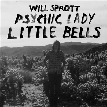 Will Sprott ?7 - Needle to the Groove