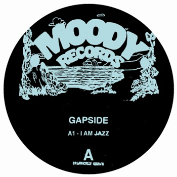 Gapside / Encuentros EP - VA - Moody Records