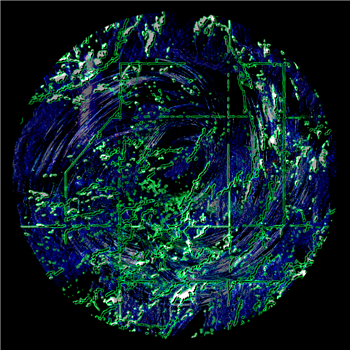 OL - Dismeteo - Motion Ward