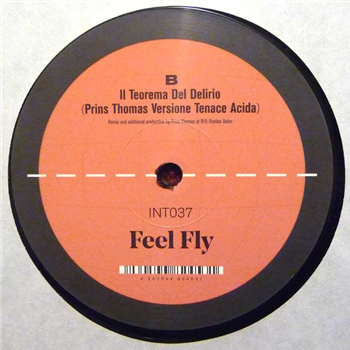 Feel Fly - Remixes - VA - internasjonal