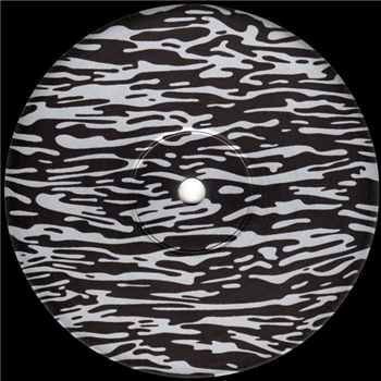 Will Saul - Lakeside EP - Phonica Records
