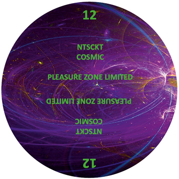 NTSCKT - COSMIC - PLEASURE ZONE