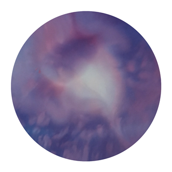 Nick Beringer - Cryonics EP - Rubisco