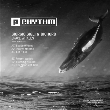 Giorgio Gigli & Bichord - Space Whales - Planet Rhythm