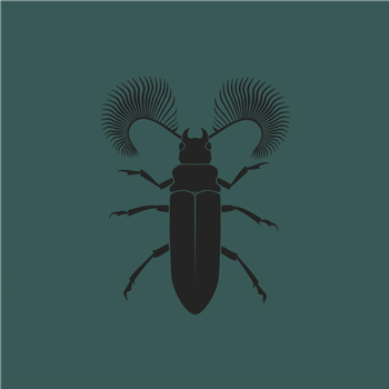 Pozek - Featherhorned Beetle EP - Zodiak Commune Records