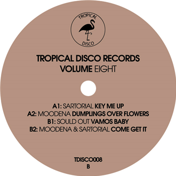 Tropical Disco Records, Vol. 8 - Various Artists - TROPICAL DISCO RECORDS
