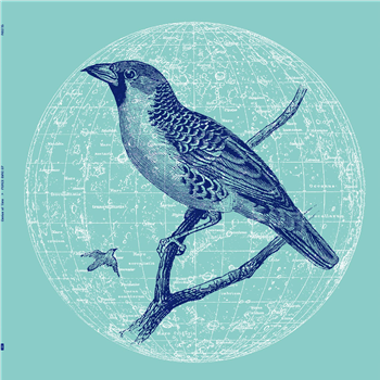 Genius of Time ‘Peace Bird’ EP - Running Back