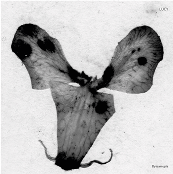 LUCY - DYSCAMUPIA - Stroboscopic Artefacts