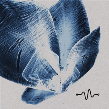 Hymns, J. Wiltshire, PTMC & Karima F - Oscillate Tracks Hymns, J. Wiltshire, PTMC & Karima F - Oscillate Tracks