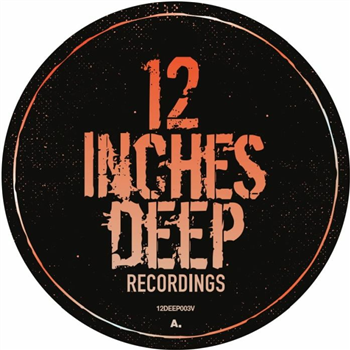 RICKY TINEZ / AKUMEN / LE SMOOVE / URBANITE - West Coast Dance Traxx Vol 2 - 12 Inches Deep RICKY TINEZ / AKUMEN / LE SMOOVE / URBANITE - West Coast Dance Traxx Vol 2 - 12 Inches Deep